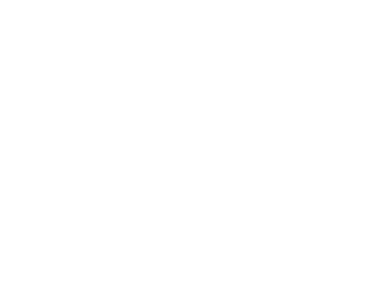 Github official logo.